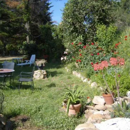 Studio Sur Pinede Argelès-sur-Mer