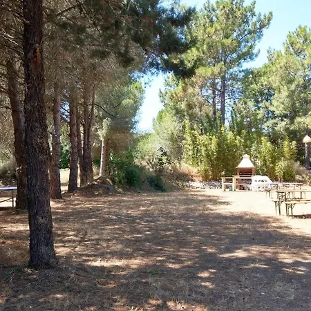 Studio Sur Pinede *