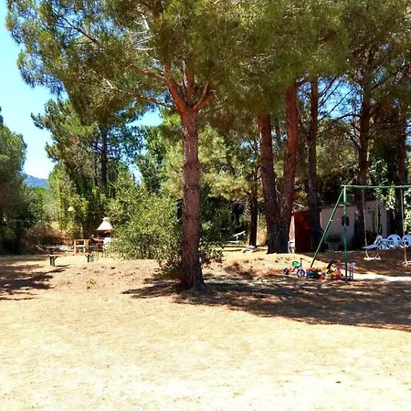 Studio Sur Pinede * Argelès-sur-Mer