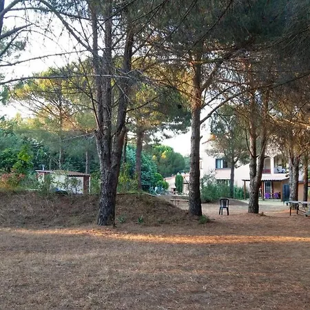 Studio Sur Pinede *