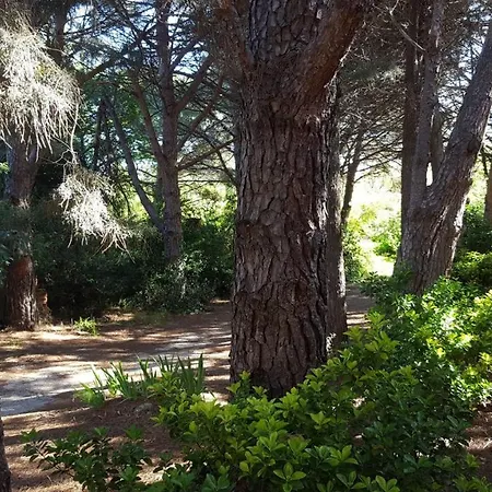 Studio Sur Pinede Argelès-sur-Mer